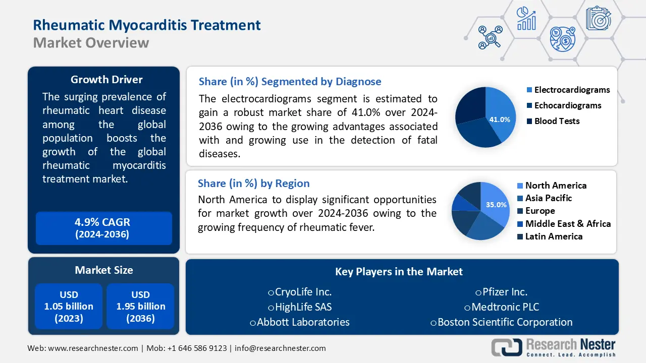 Rheumatic Myocarditis Treatment Market Overview